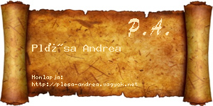 Plésa Andrea névjegykártya